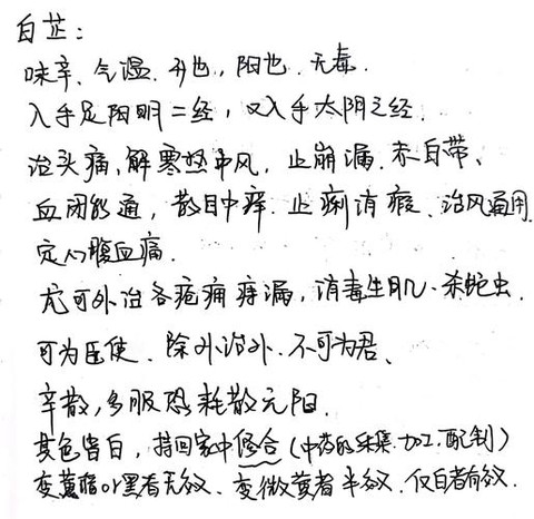 九阴真经白芷怎么获得[图1]