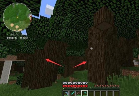 我的世界深色橡木怎么长不大[图1]