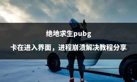 绝地求生卡进程怎么办